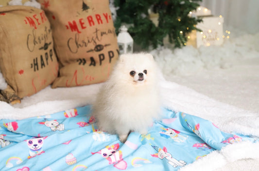 Manta Sweet Unicorns