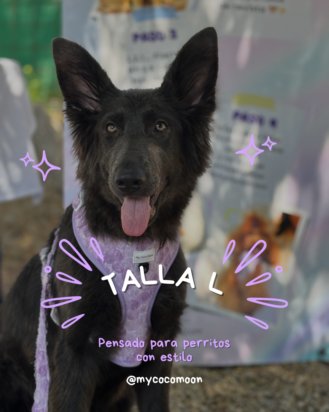 Arnés Ajustable Bloom & Glow