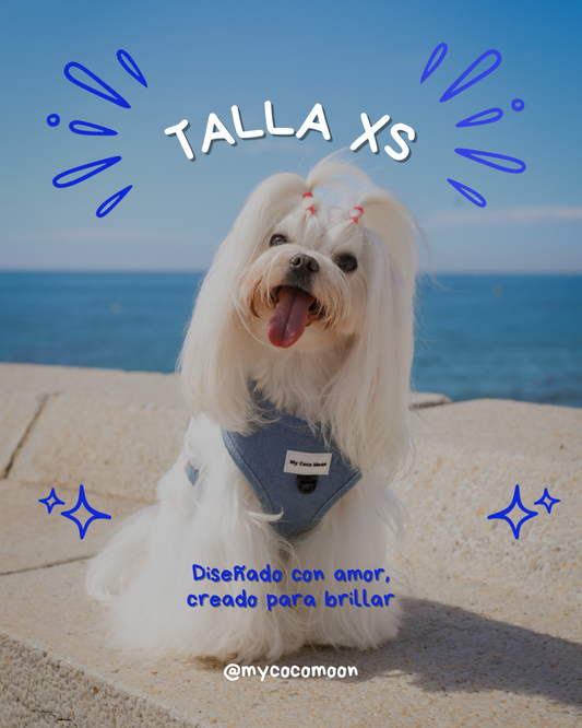 Arnés Ajustable Blue Jeans