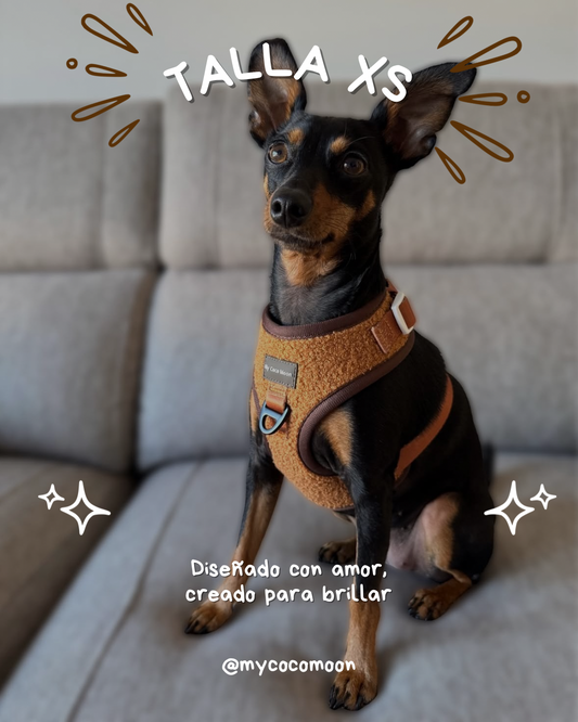 Arnés Ajustable para perro Teddy