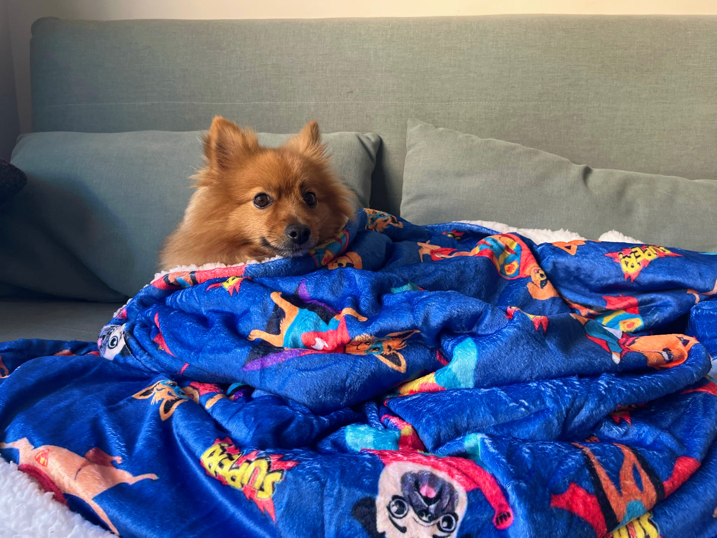 Manta Super Dogs