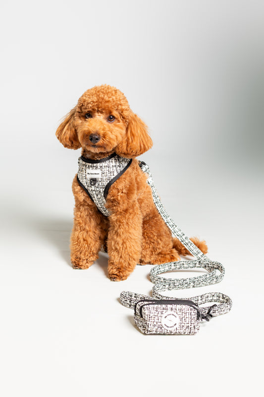 Arnés Ajustable para perro Chic & Glam
