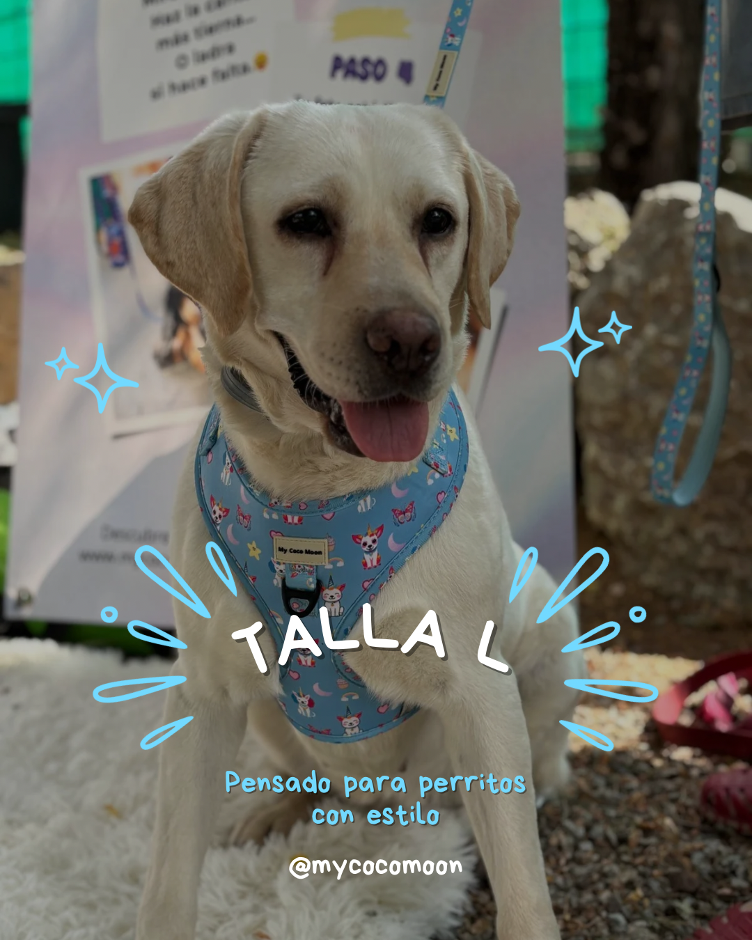 Arnés Ajustable Sweet Unicorns