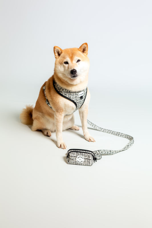 Porta Bolsas Chic & Glam