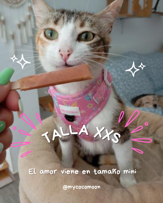 Arnés Ajustable para perro Fantasy Dreams