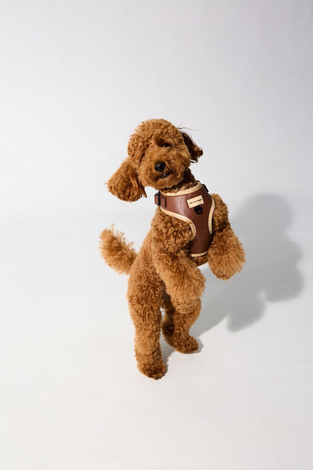 Arnés Ajustable Brownie