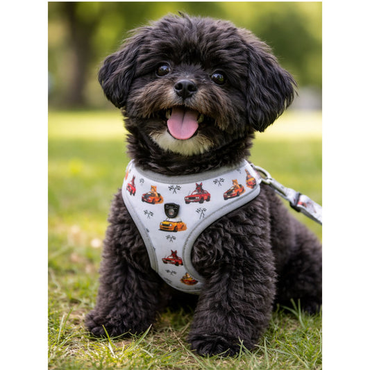 Arnés Ajustable para perro Rally Dogs