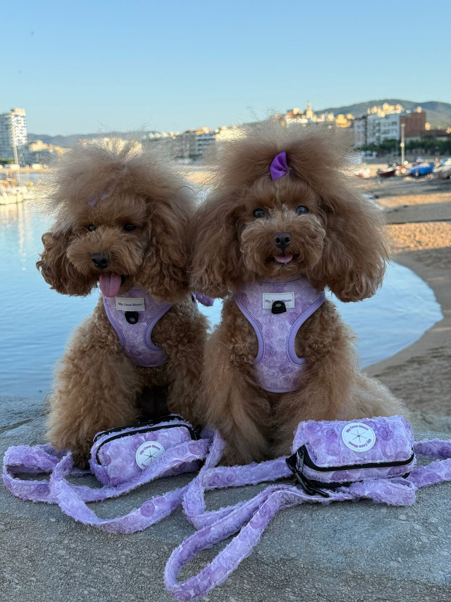 Porta Bolsas Bloom & Glow