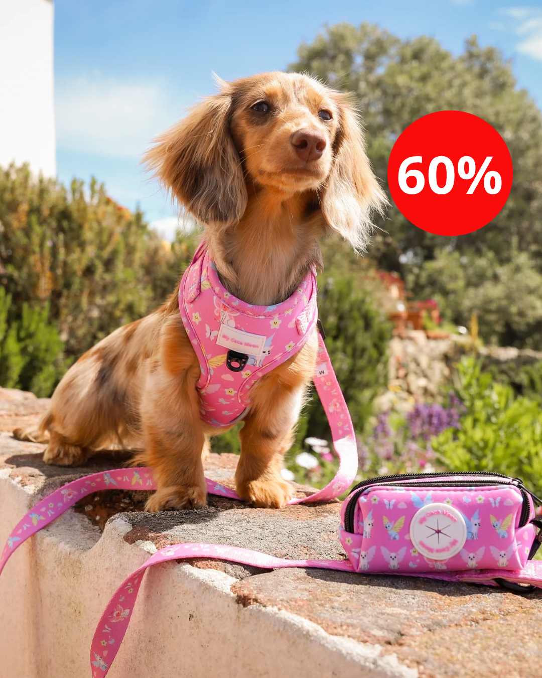 Colección Fantasy Dreams