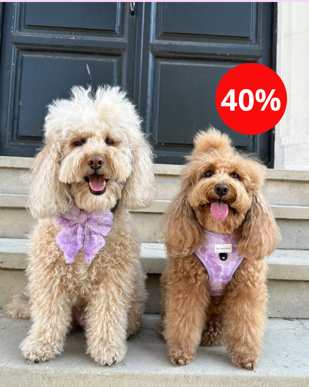 Colección Bloom & Glow