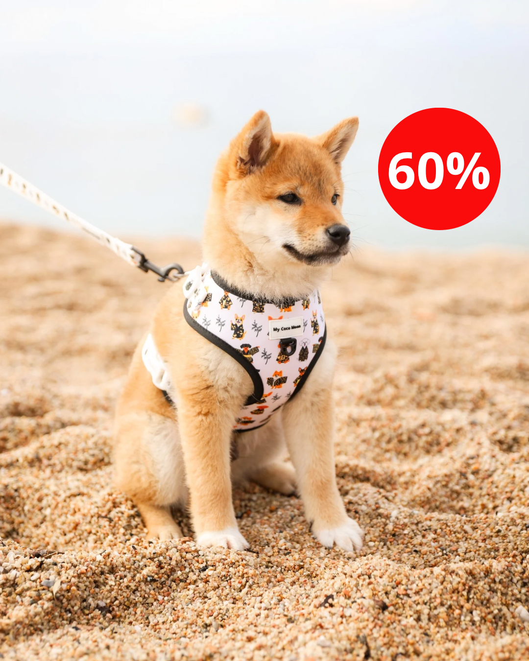 Colección Kimono Dogs