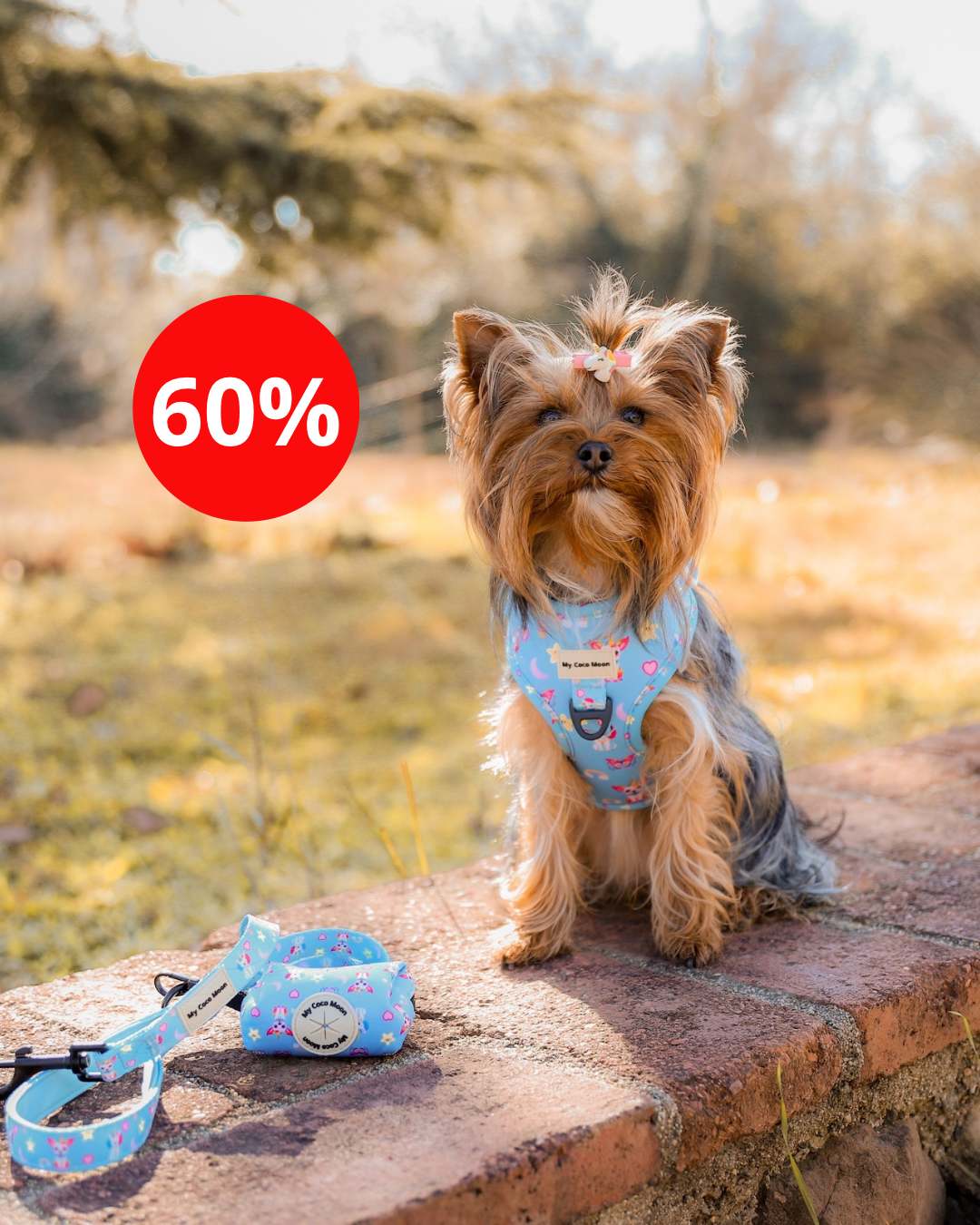 Colección Sweet Unicorns