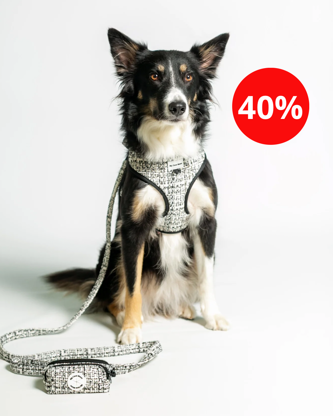 Colección Chic & Glam