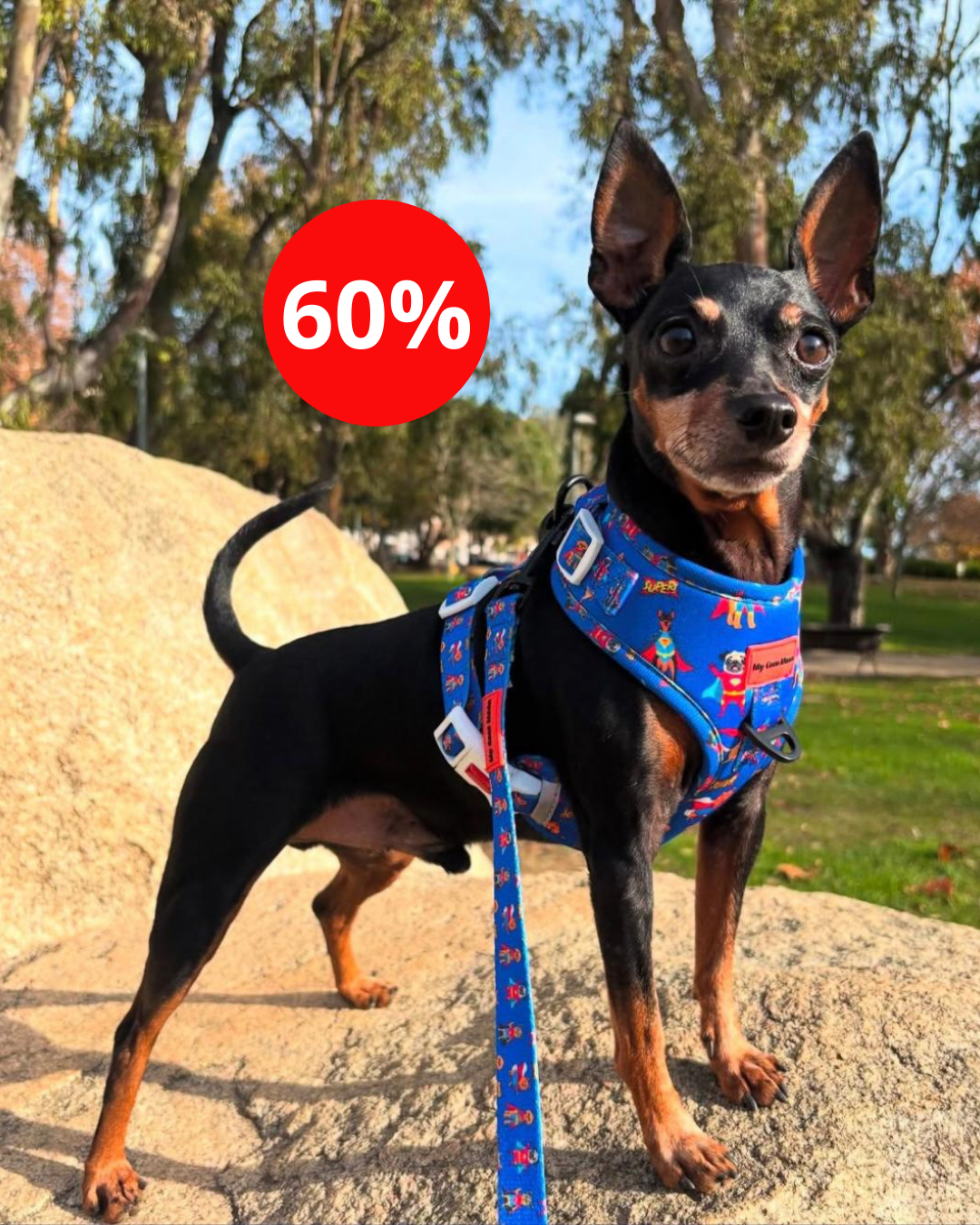 Colección Super Dogs