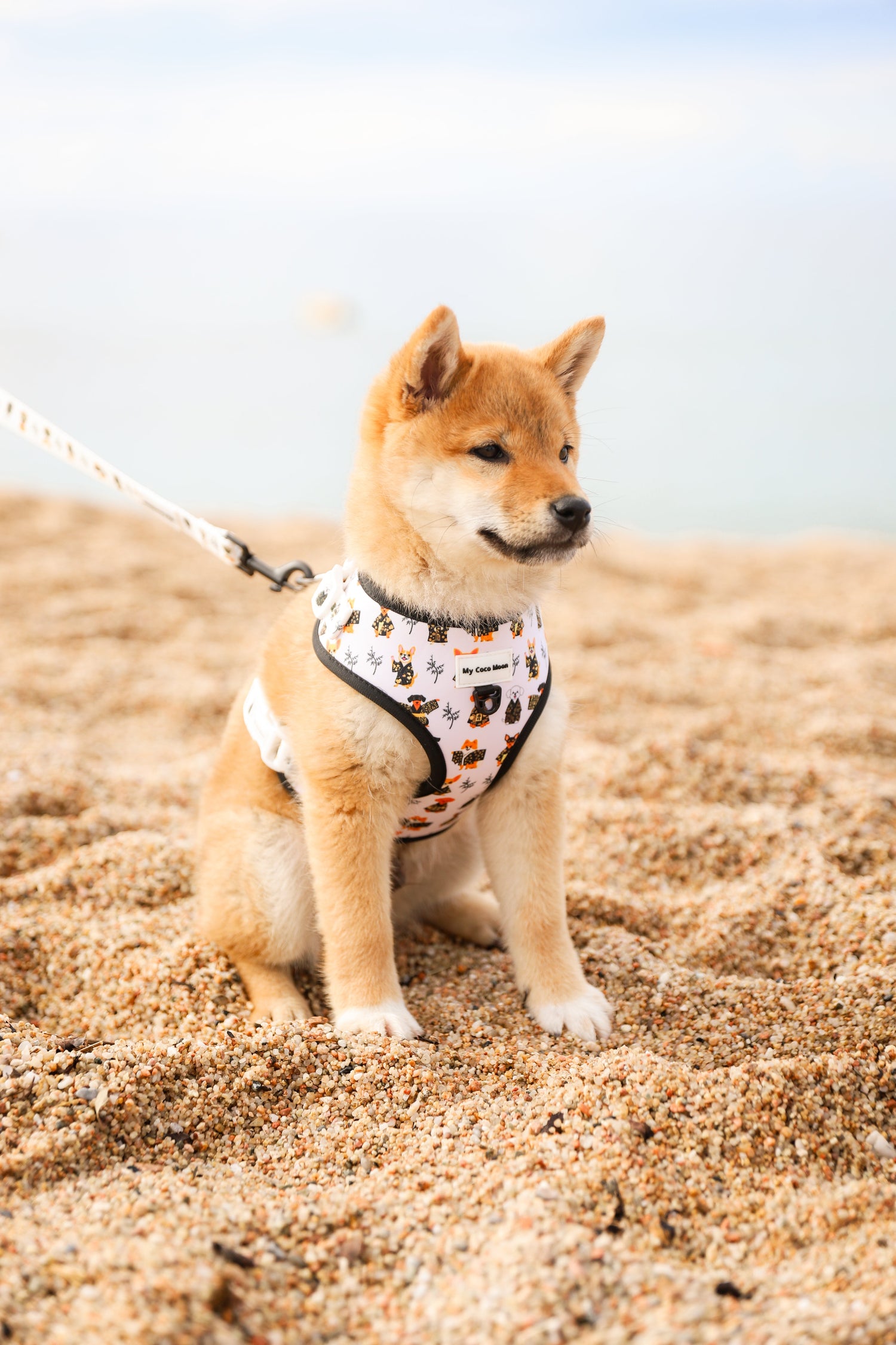 Colección Kimono Dogs