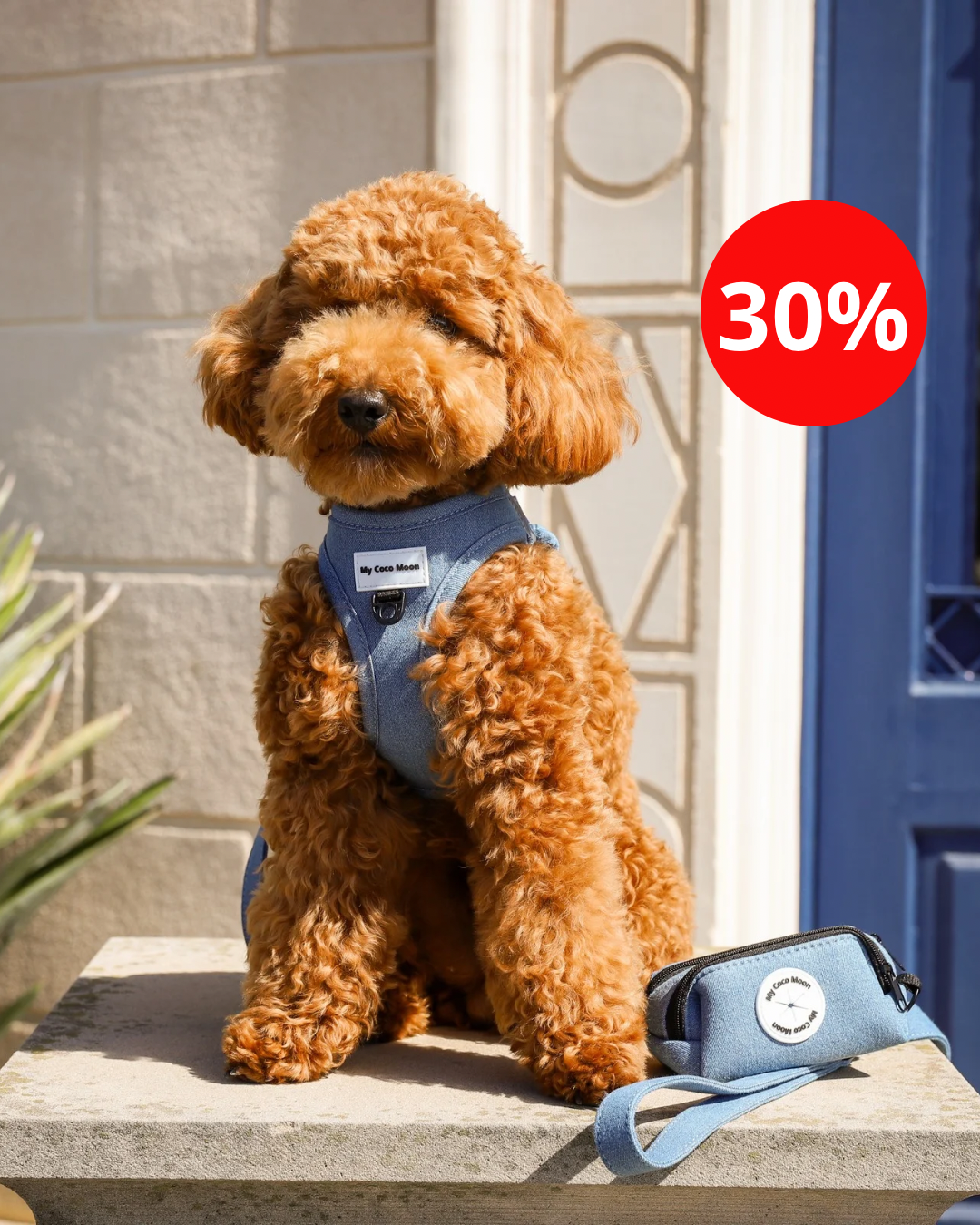 Colección Blue Jeans