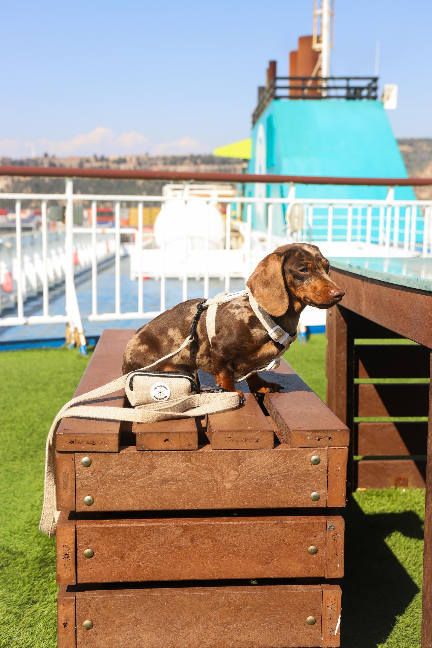 Arnés Clásico en H para perro ECO Sand