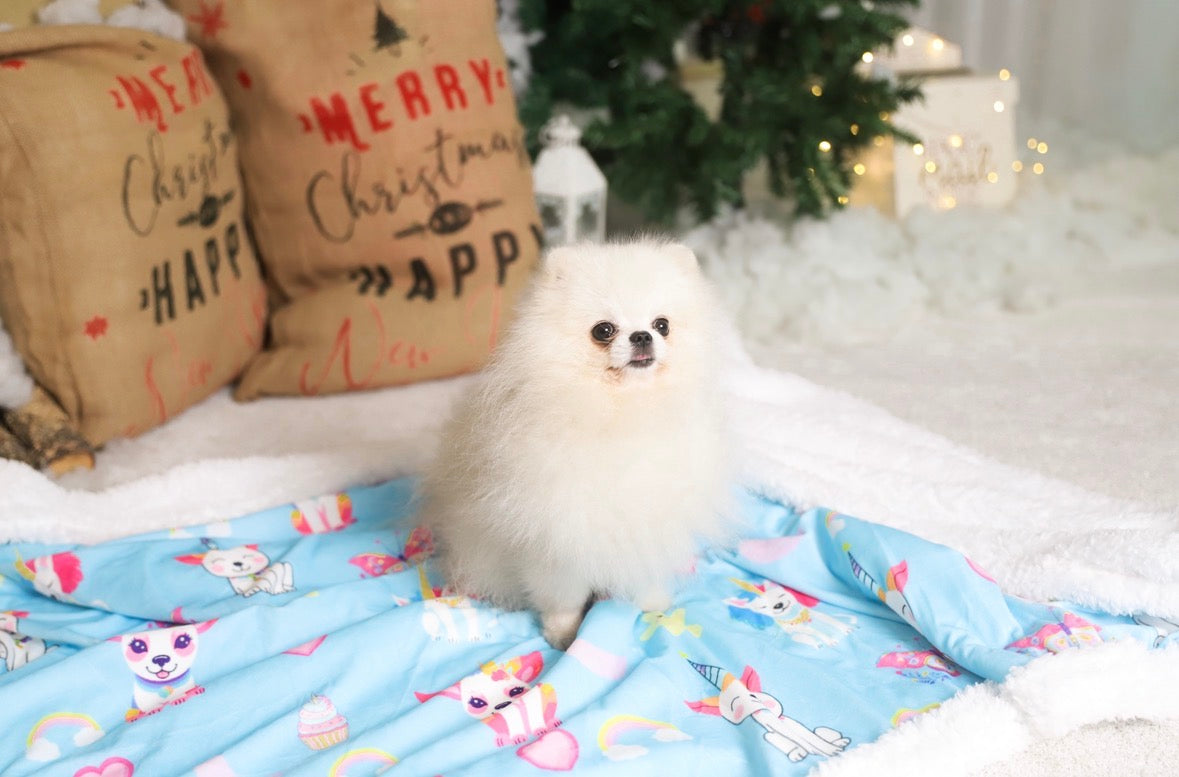 Manta Sweet Unicorns