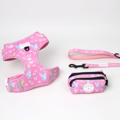 Pack Fantasy Dreams - Arnés Ajustable + Correa + Porta Bolsa Doble