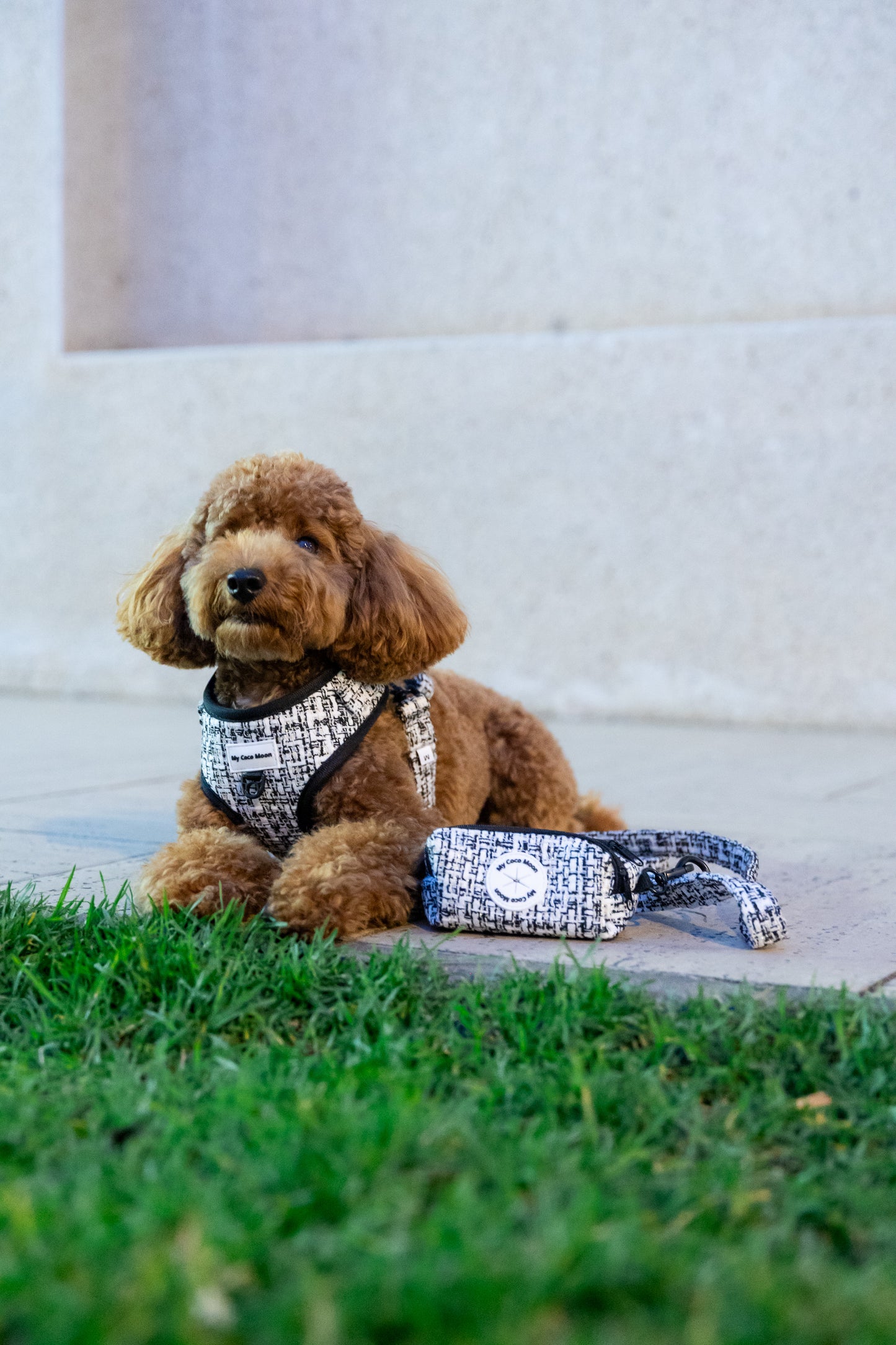 Pack Chic & Glam  Arnés Ajustable + Correa + Porta Bolsas Doble