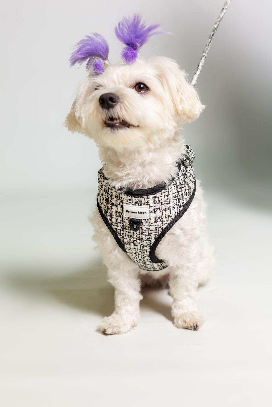 Arnés Ajustable Chic & Glam