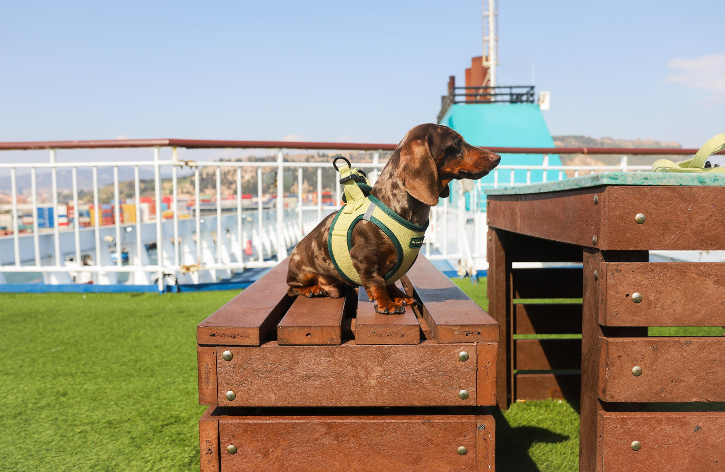 Arnés Body para perro ECO Green