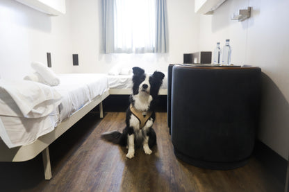 Arnés Ajustable para perro ECO Sand