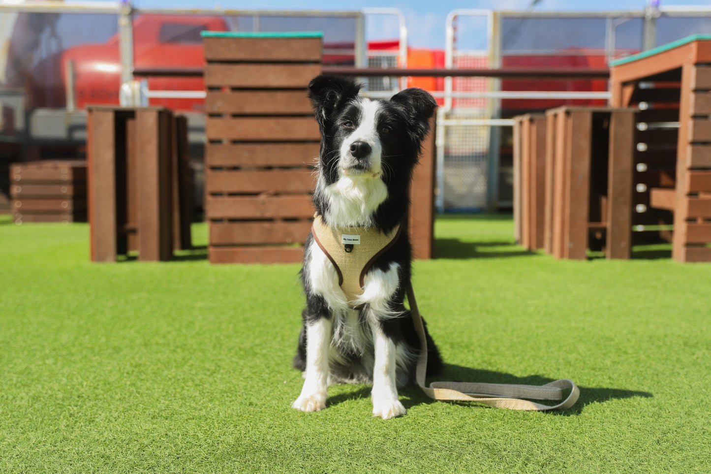Arnés Ajustable para perro ECO Sand