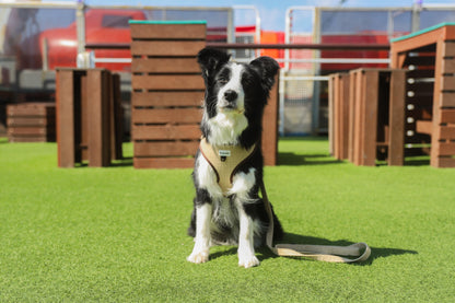 Arnés Ajustable para perro ECO Sand