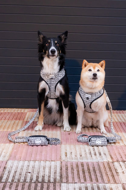 Pack Chic & Glam  Arnés Ajustable + Correa + Porta Bolsas Doble