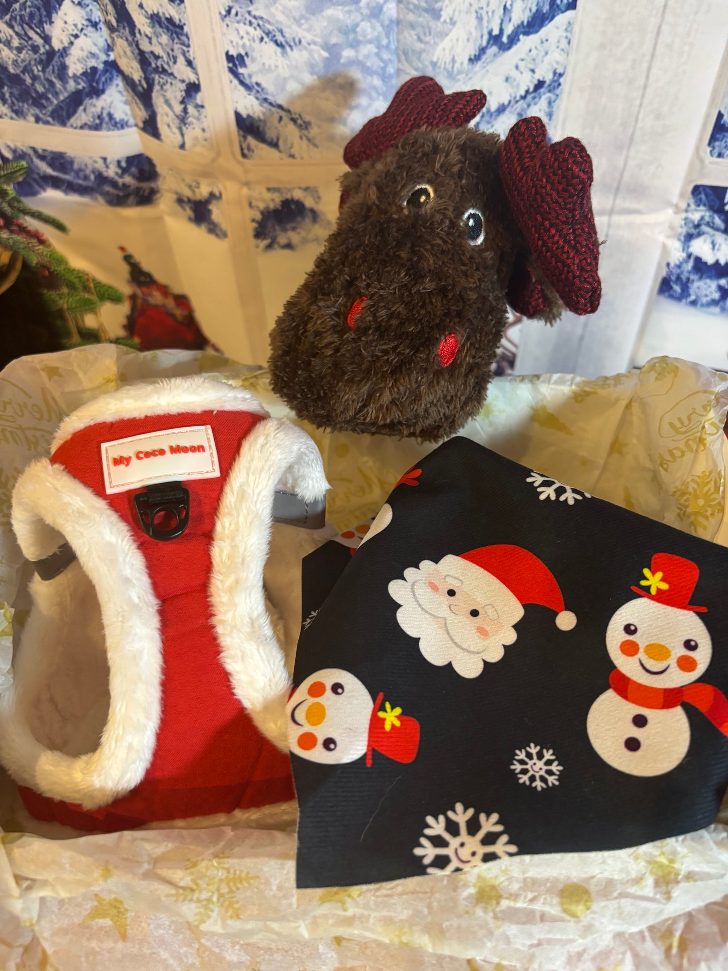 Pack Arnés Santa - Caja Navideña Edición Especial- Peluche + Bandana