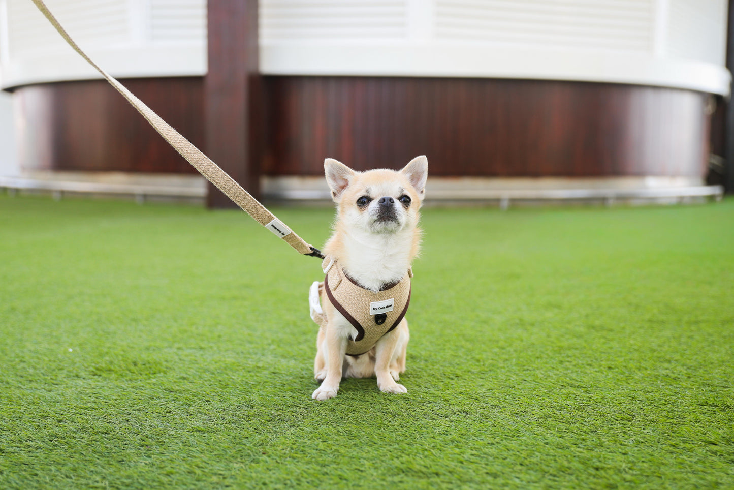 Correa para perro ECO Sand