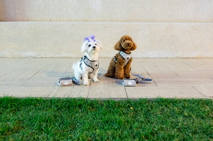 Pack Chic & Glam  Arnés Ajustable + Correa + Porta Bolsas Doble