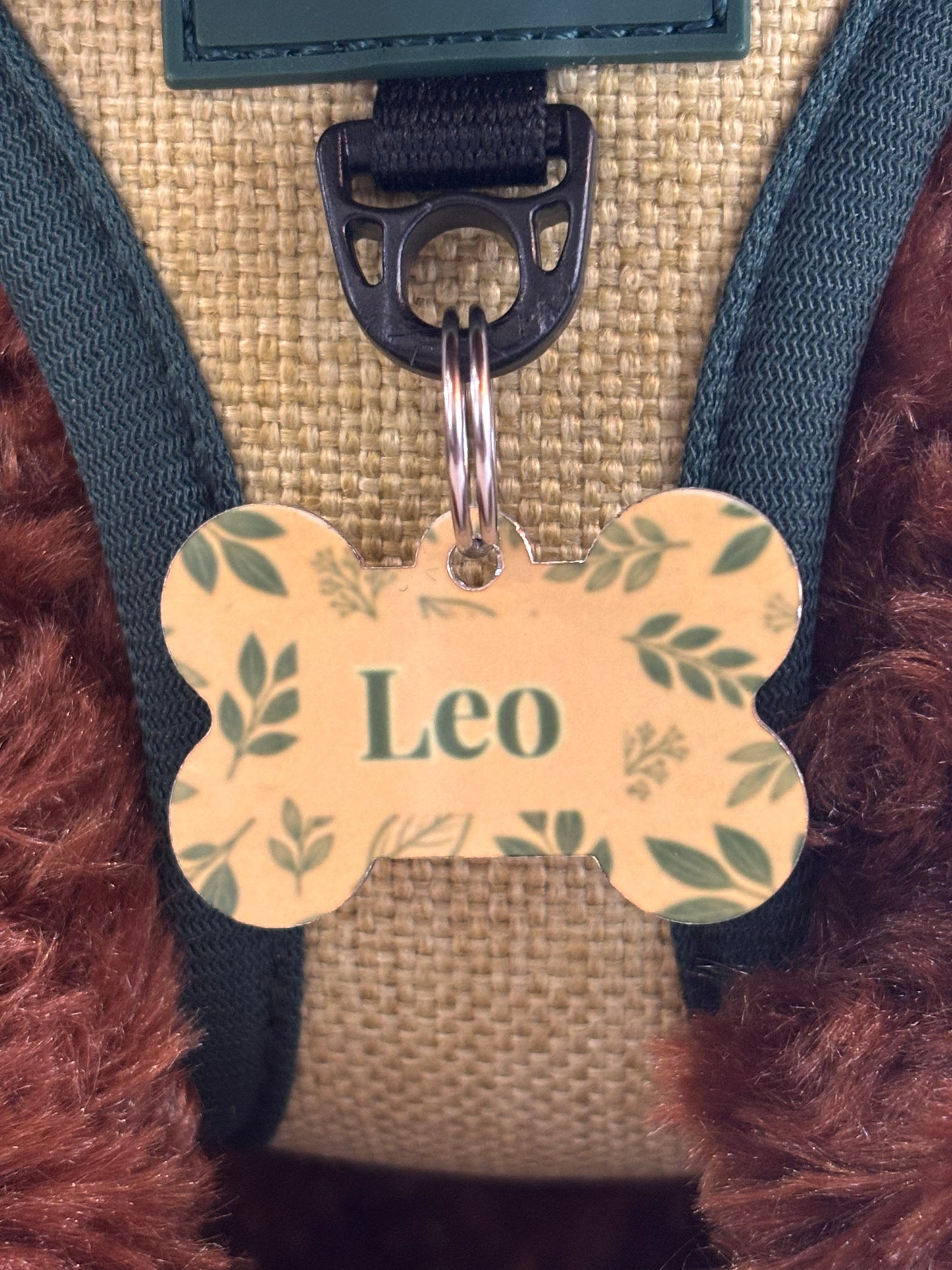 Chapa de Identificación para perro Colección ECO Green