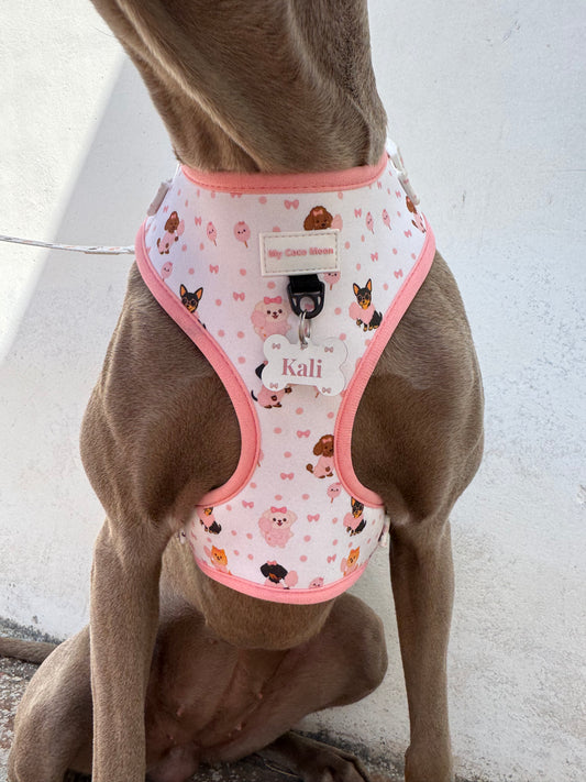 Chapa de Identificación para perro personalizada Candy Cotton