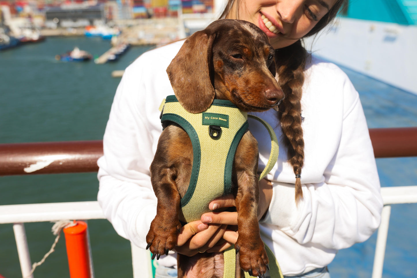Arnés Body para perro ECO Green