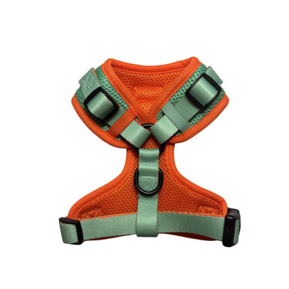 Arnés Ajustable para perro Summer Fresh Mint