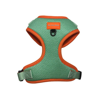Pack Ahorro Arnés Ajustable para perro + Correa + Portabolsas Summer Fresh Mint