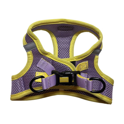 Arnés Body para perro Summer Fresh Purple