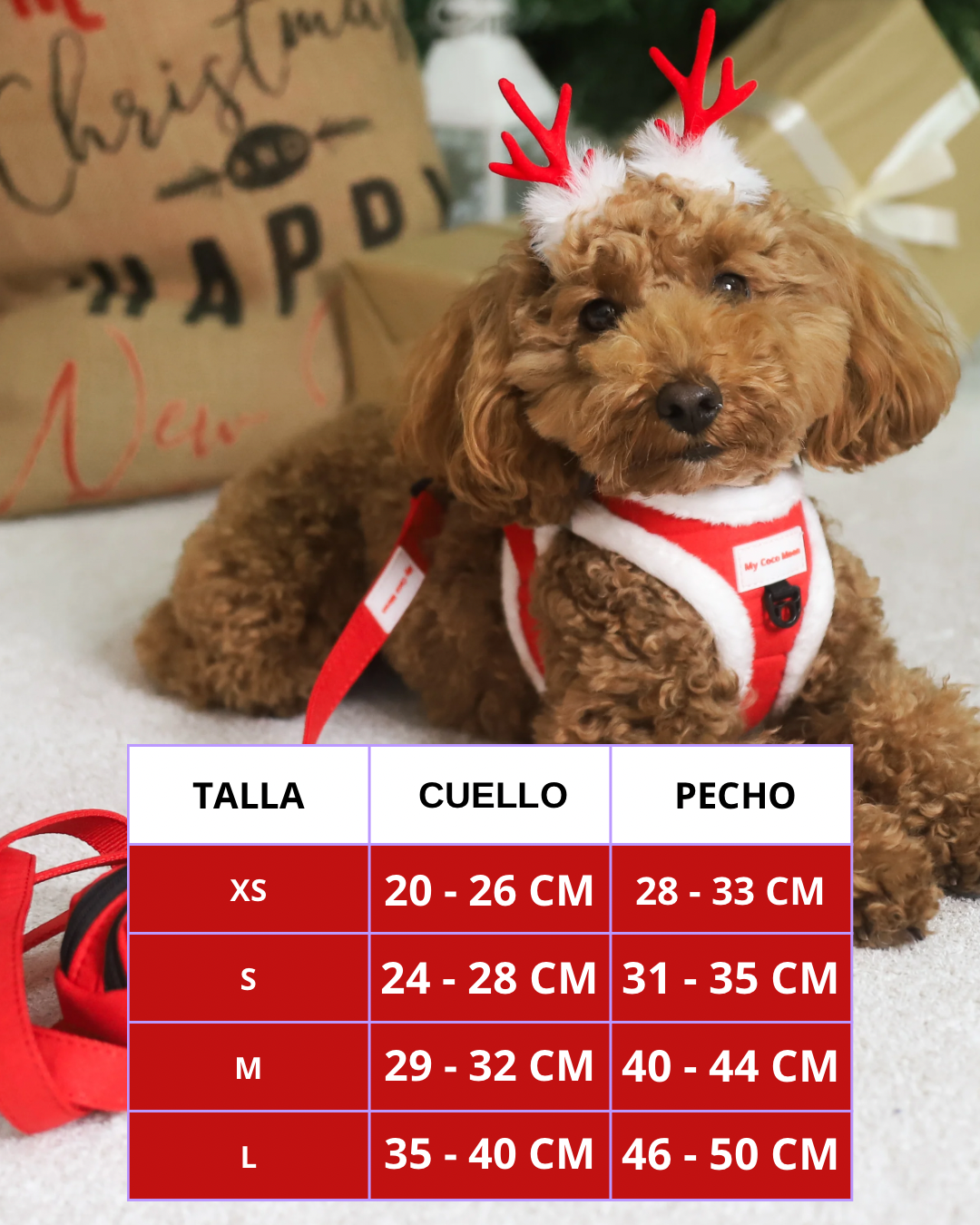 Pack Arnés Santa - Caja Navideña Edición Especial- Peluche + Bandana