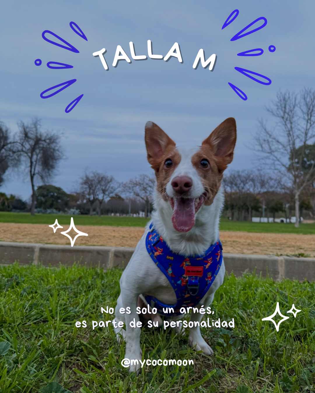 Arnés Ajustable Super Dogs