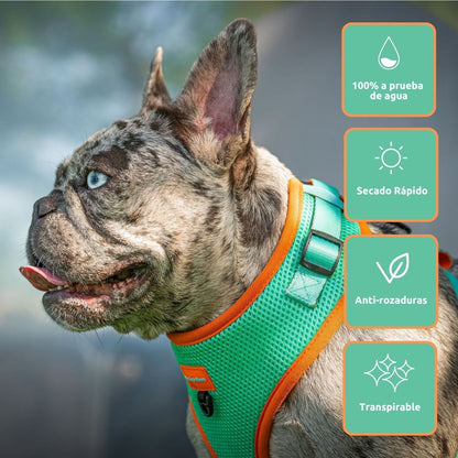 Arnés Ajustable para perro Summer Fresh Mint