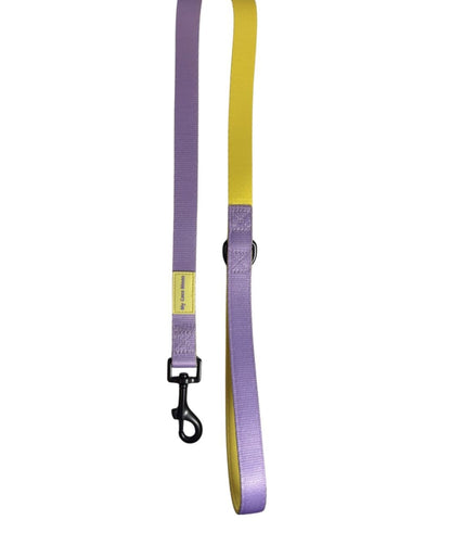 Correa para perro Summer Fresh Purple