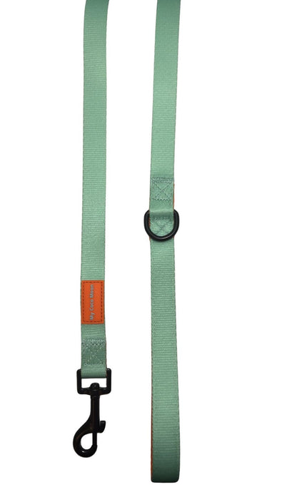 Correa de perro Summer Fresh Mint