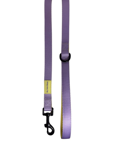 Correa para perro Summer Fresh Purple