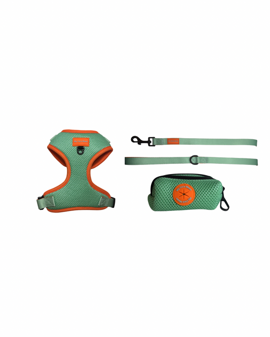 Pack Ahorro Arnés Ajustable para perro + Correa + Portabolsas Summer Fresh Mint