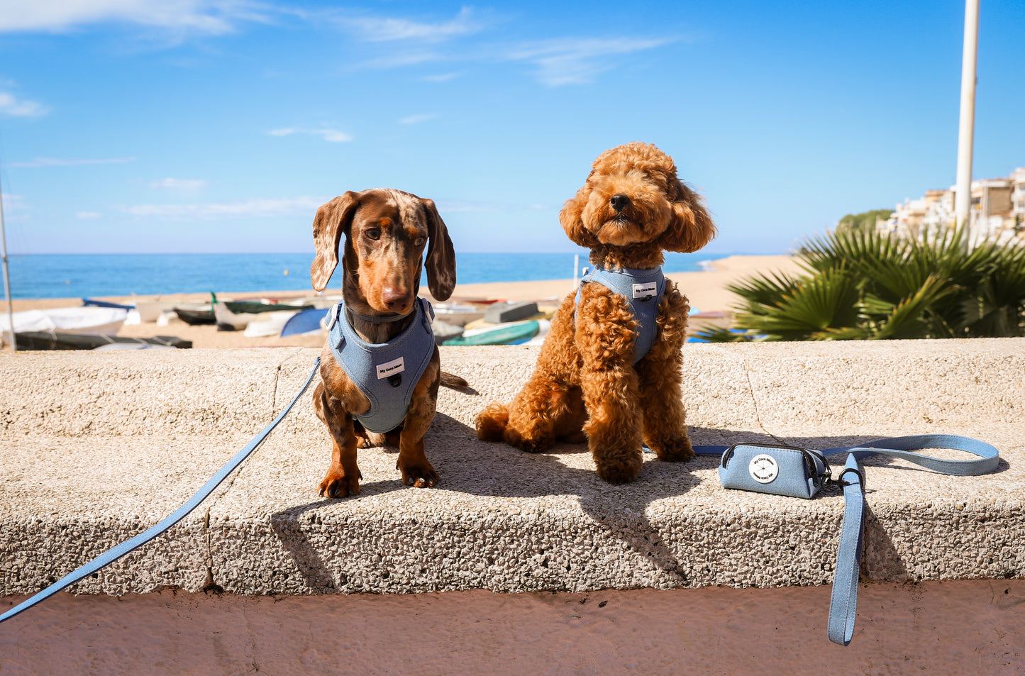 Pack Ahorro Arnés Body para perro + Correa + Porta bolsas doble Blue Jeans.