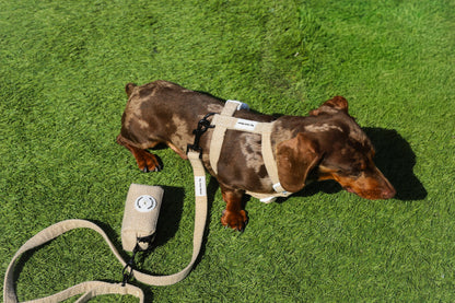 Arnés Clásico en H para perro ECO Sand