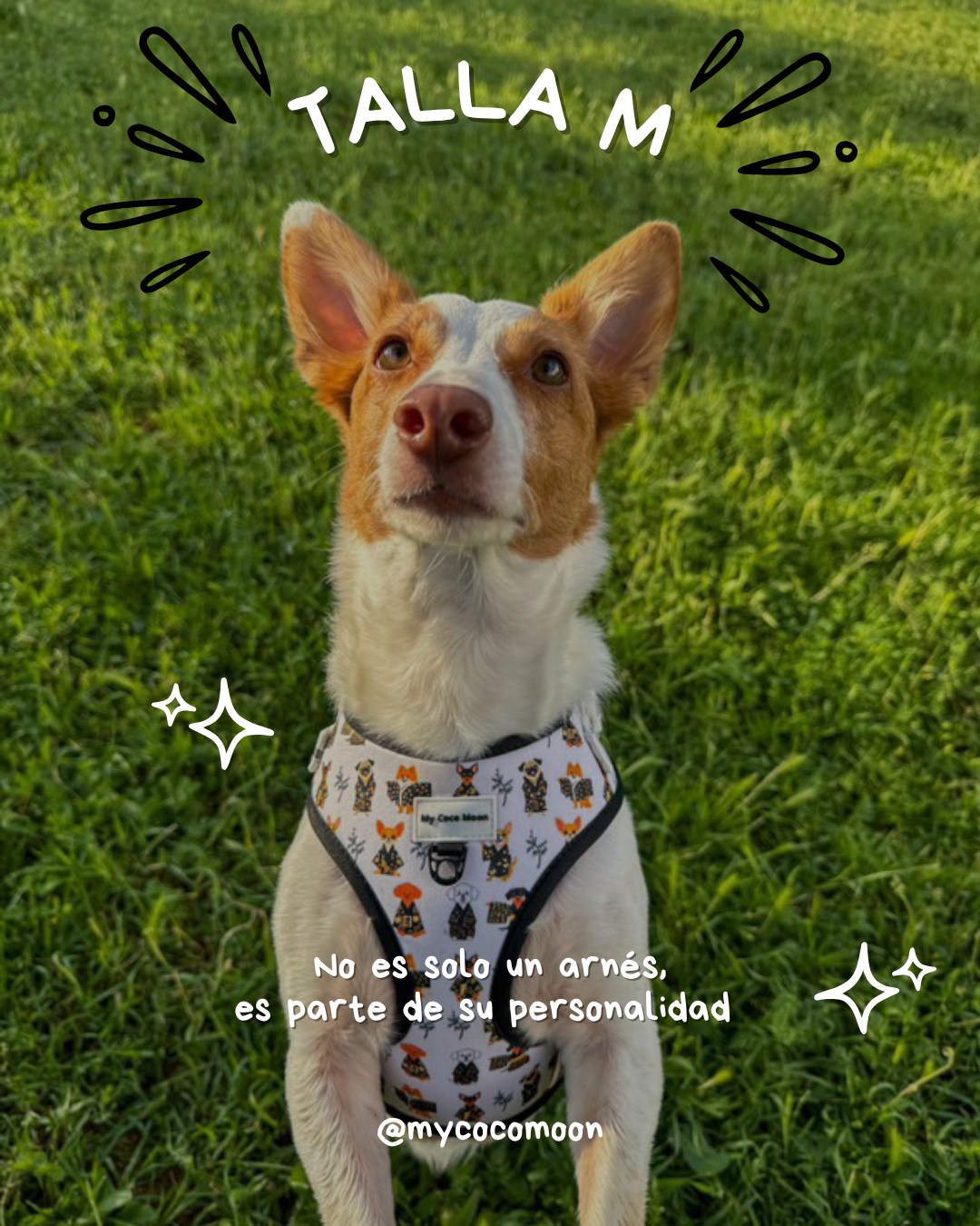 Arnés Ajustable Kimono Dogs
