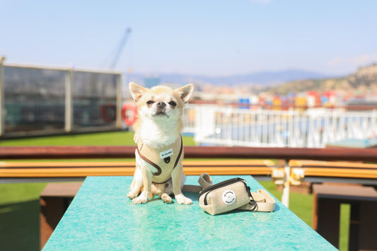 Porta Bolsas Doble para perro ECO Sand